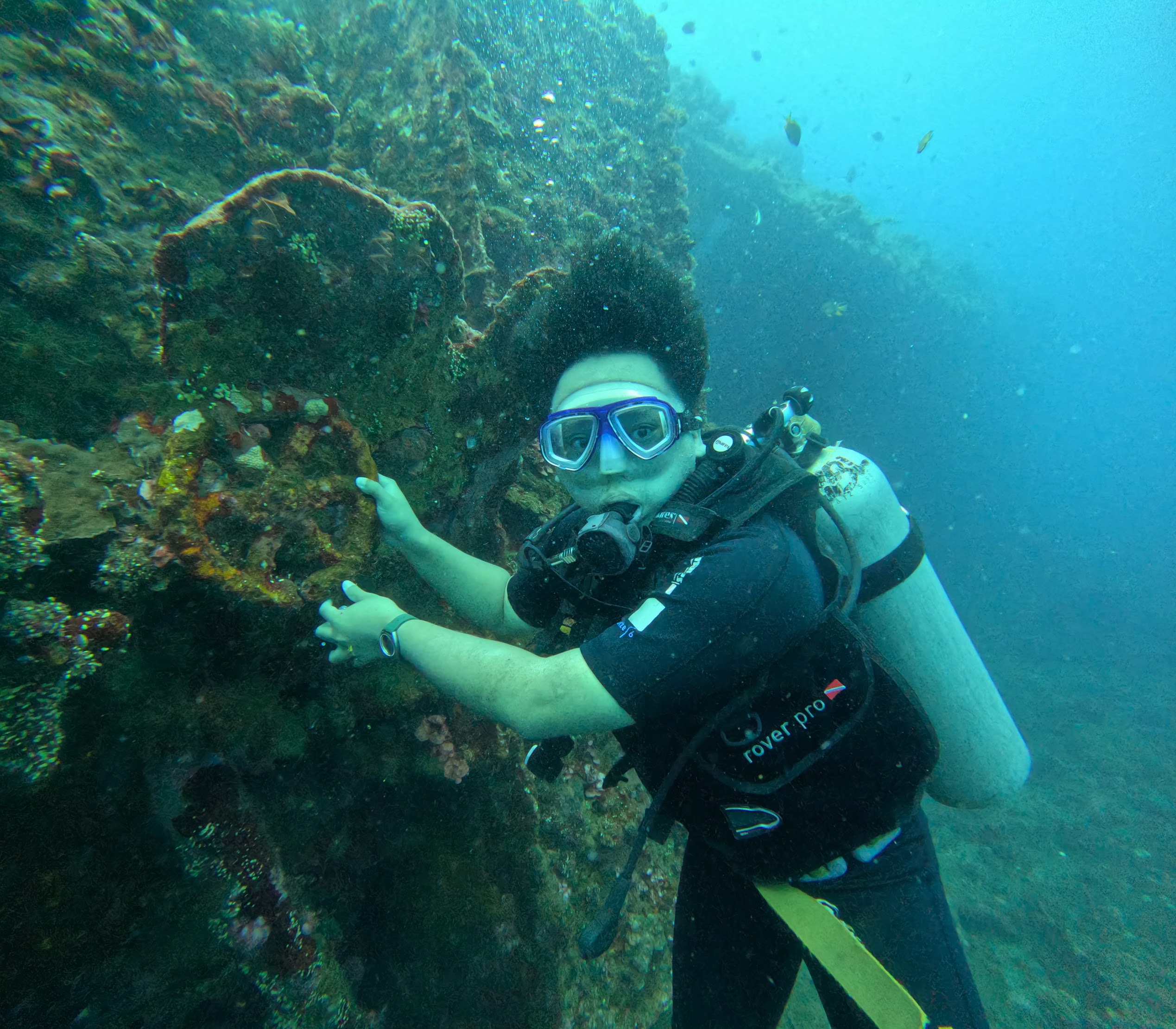 Scuba diver exploring vibrant coral reefs in Bali, Indonesia