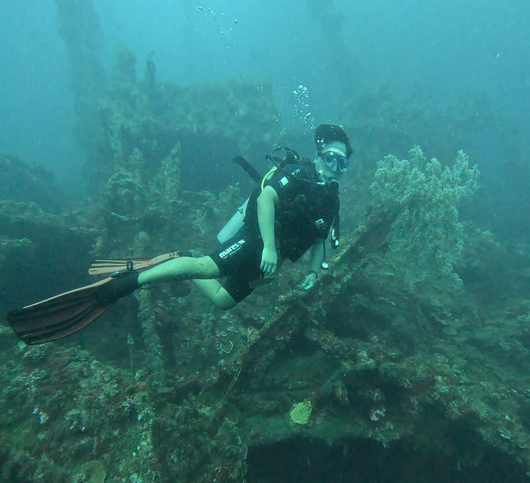 Diver swimming alongside the USAT Liberty wreck structure