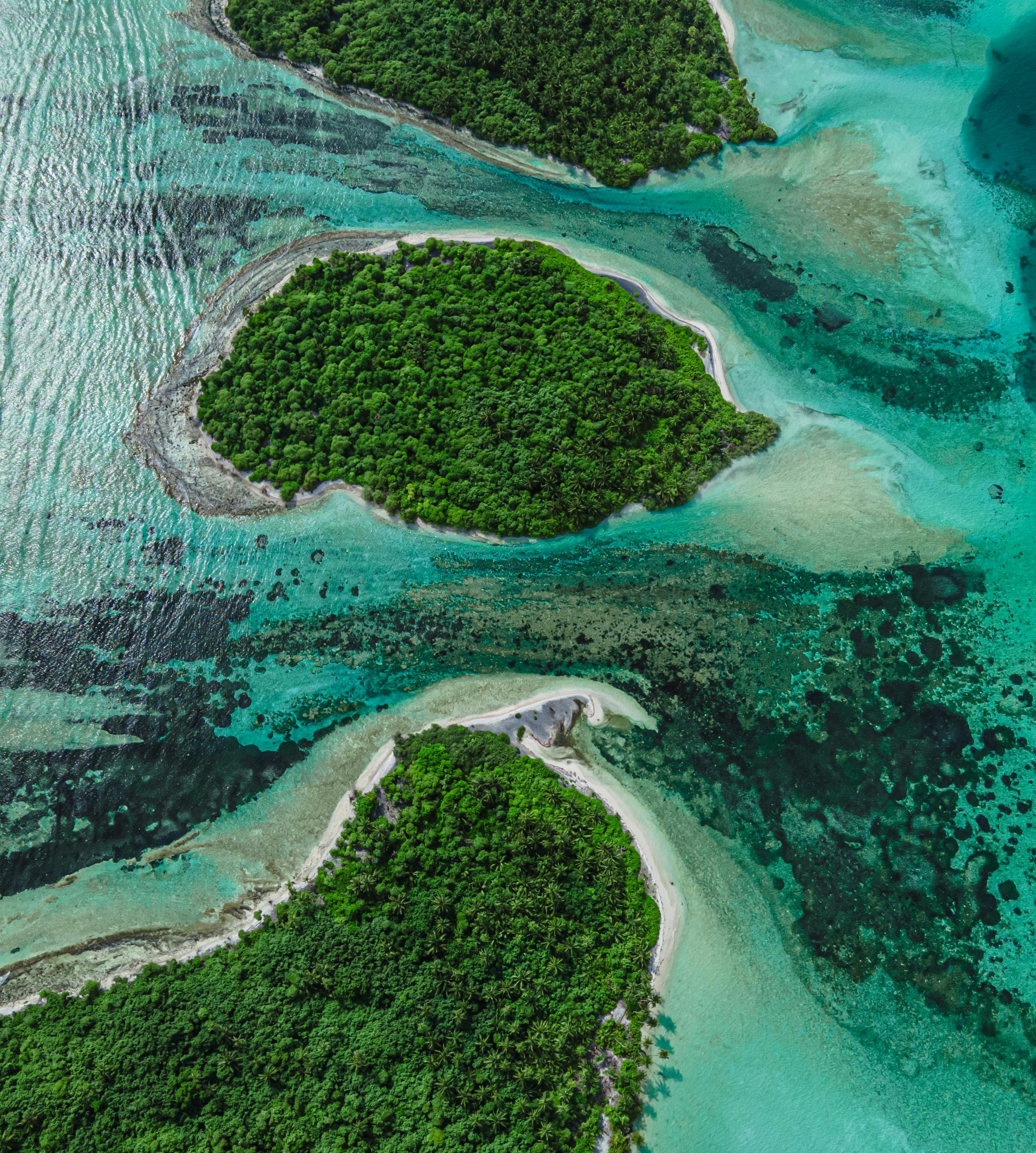Aerial view of a lush tropical island in the Maldives surrounded by turquoise ocean waters